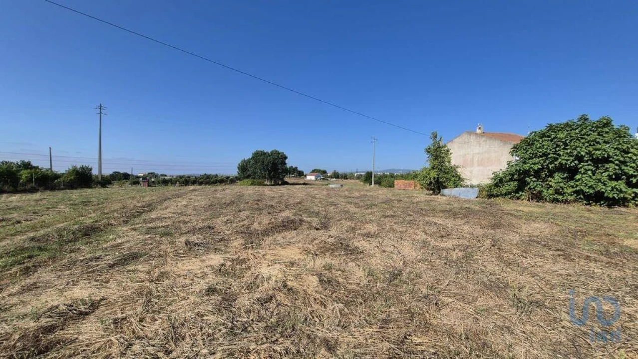 Terreno para Venda em Arrimal e Mendiga Foto 6