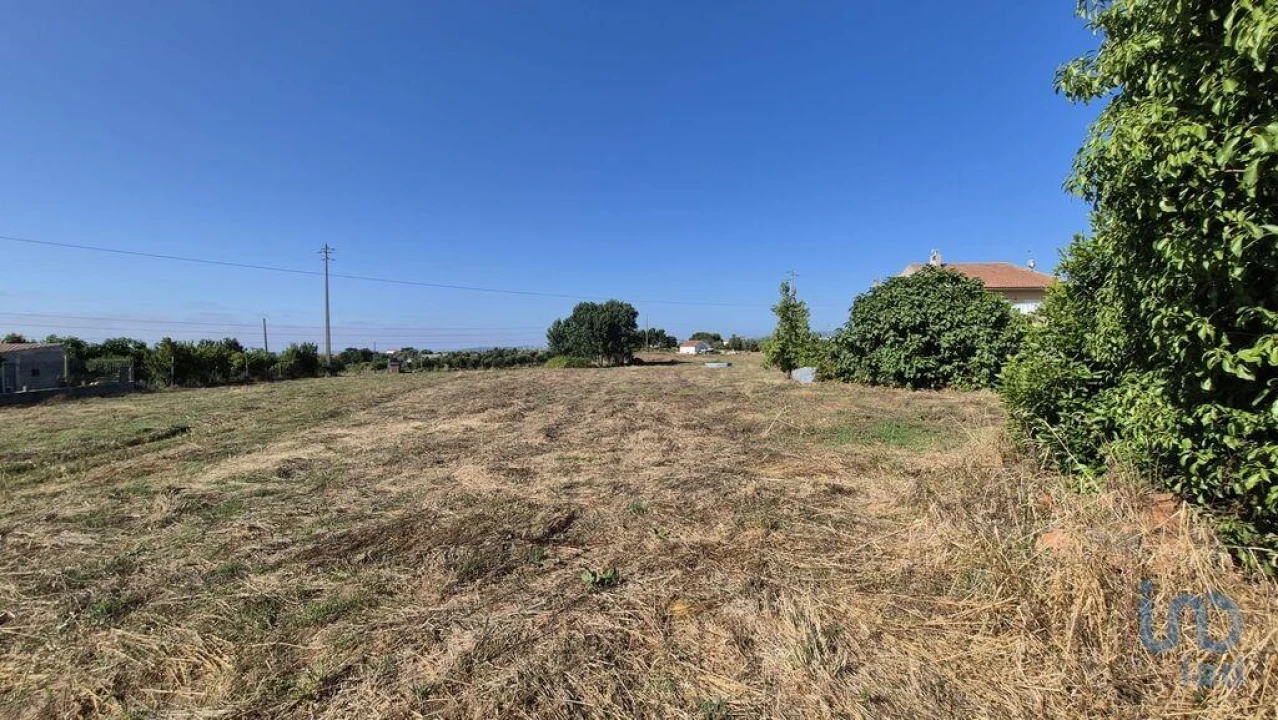 Terreno para Venda em Arrimal e Mendiga Foto 5