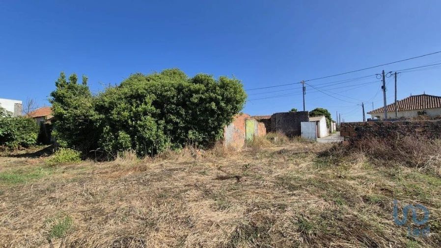 Terreno para Venda em Arrimal e Mendiga Foto 4