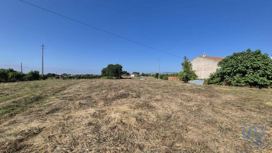 Terreno para Venda em Arrimal e Mendiga Foto 6
