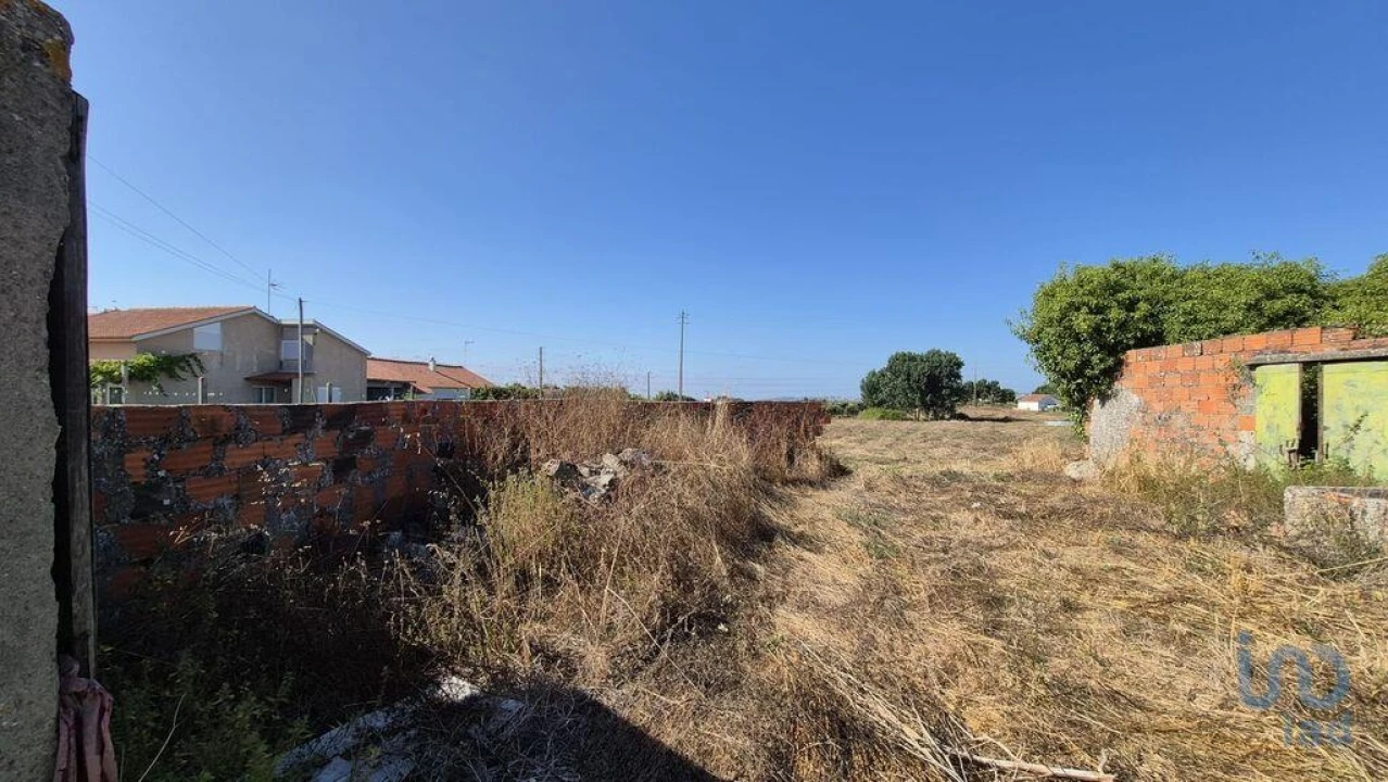 Terreno para Venda em Arrimal e Mendiga Foto 3