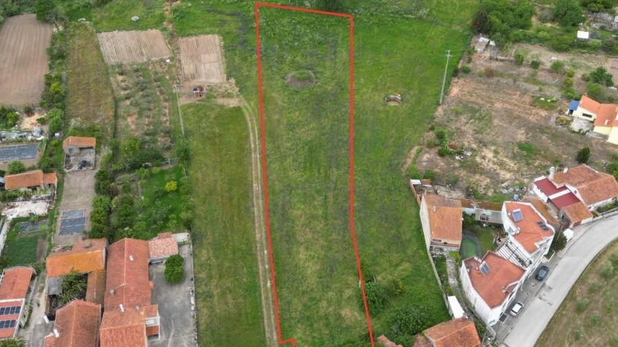 Terreno para Venda em Arrimal e Mendiga