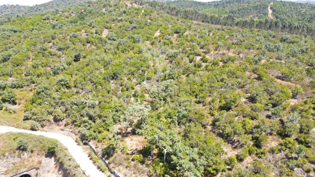 Quinta T2 para Venda em Reliquias Foto 17