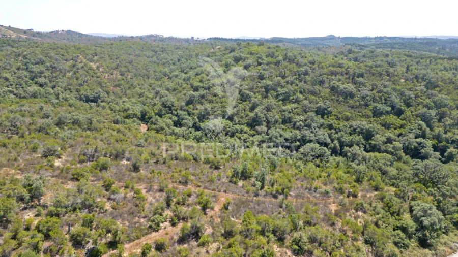 Quinta T2 para Venda em Reliquias Foto 16