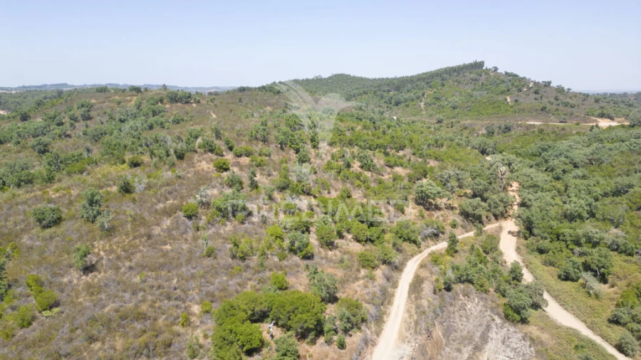 Quinta T2 para Venda em Reliquias Foto 18