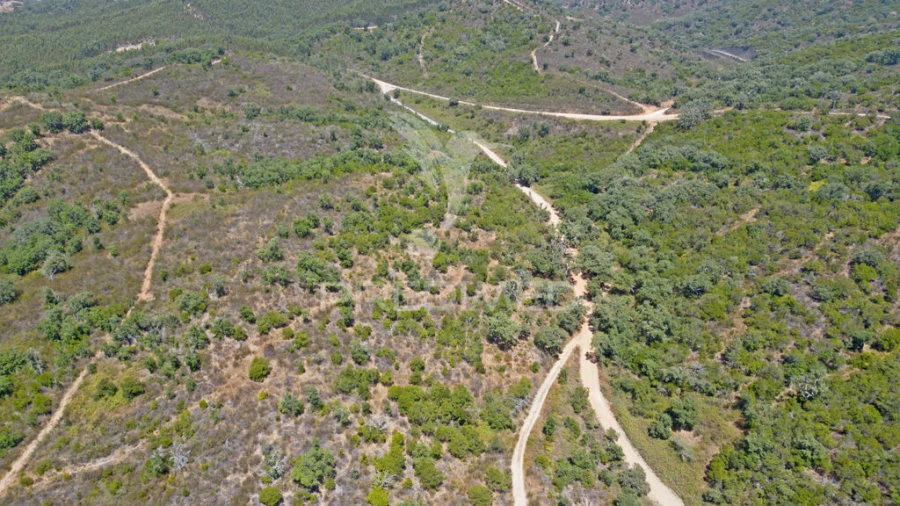 Quinta T2 para Venda em Reliquias Foto 14