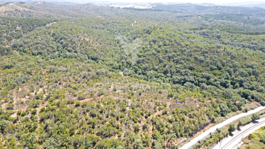 Quinta T2 para Venda em Reliquias Foto 19