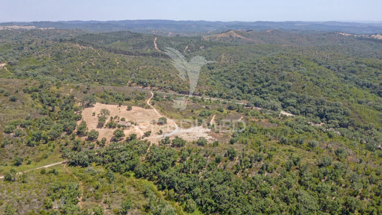 Quinta T2 para Venda em Reliquias Foto 10