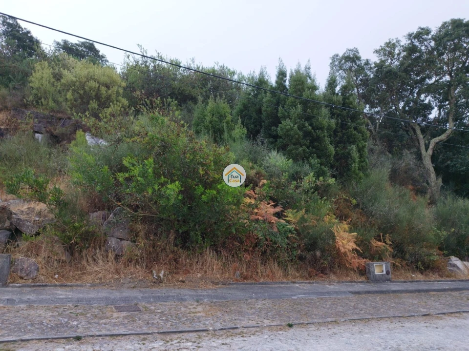Terreno para Venda em Ancora Foto 11