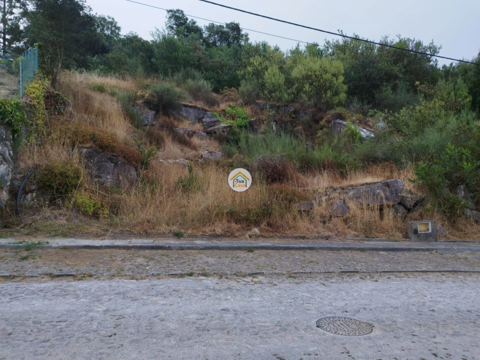Terreno para Venda em Ancora Foto 13