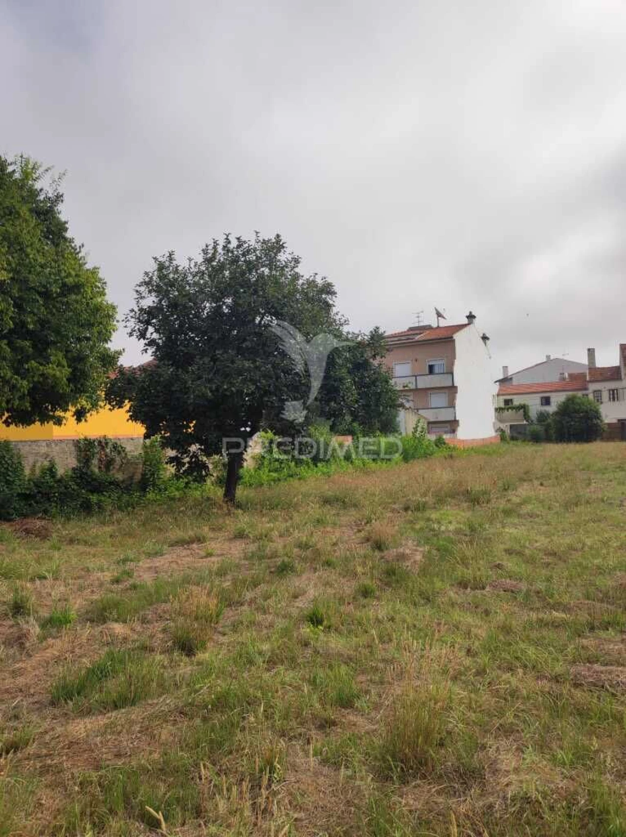 Terreno para Venda em Ílhavo (São Salvador) Foto 6