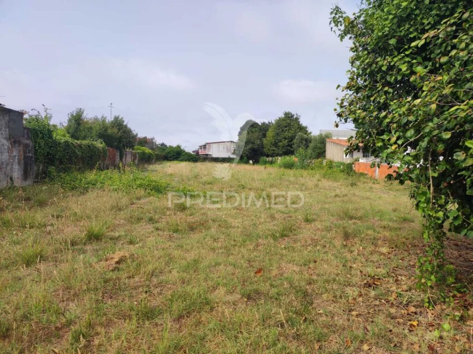 Terreno para Venda em Ílhavo (São Salvador) Foto 5