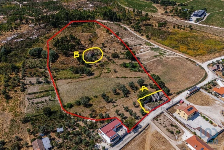 Moradia T4 para Venda em Moimenta de Maceira Dão e Lobelhe do Mato Foto 3