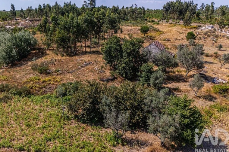 Moradia T4 para Venda em Moimenta de Maceira Dão e Lobelhe do Mato Foto 20