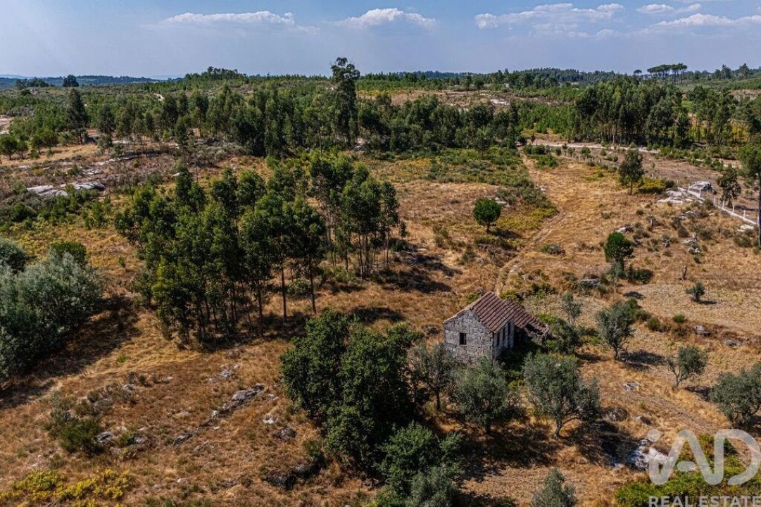 Moradia T4 para Venda em Moimenta de Maceira Dão e Lobelhe do Mato Foto 19