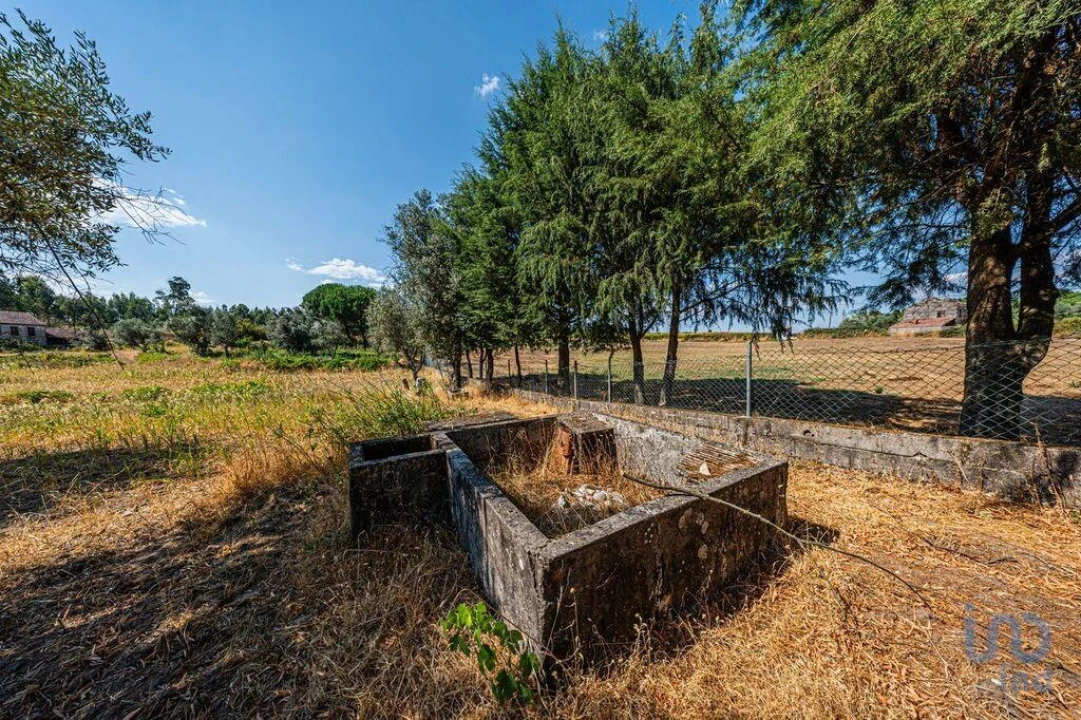 Moradia T4 para Venda em Moimenta de Maceira Dão e Lobelhe do Mato Foto 12