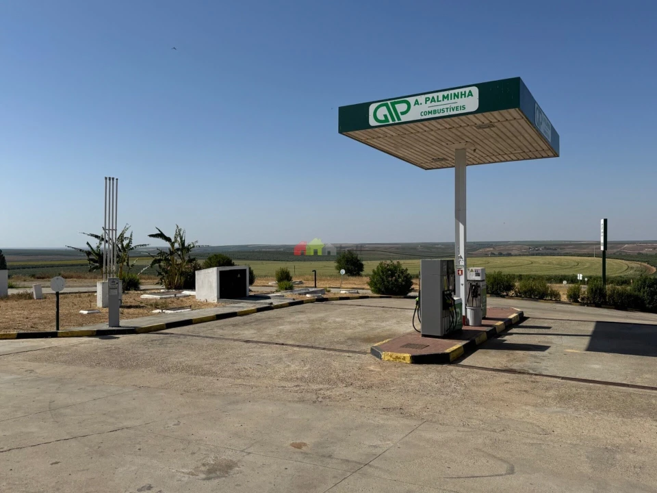 Terreno para Venda em Baleizão Foto 3