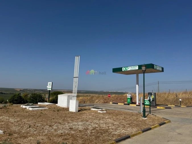 Terreno para Venda em Baleizão Foto 1