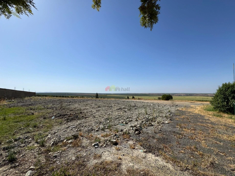 Terreno para Venda em Baleizão Foto 11