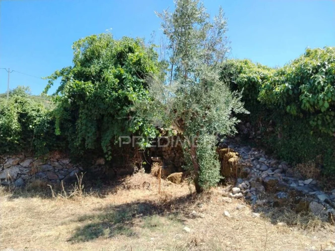 Terreno para Venda em Reguengo e São Julião Foto 3