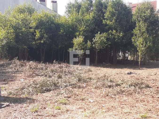 Terreno para Venda em Santa Marinha e São Pedro da Afurada Foto 3