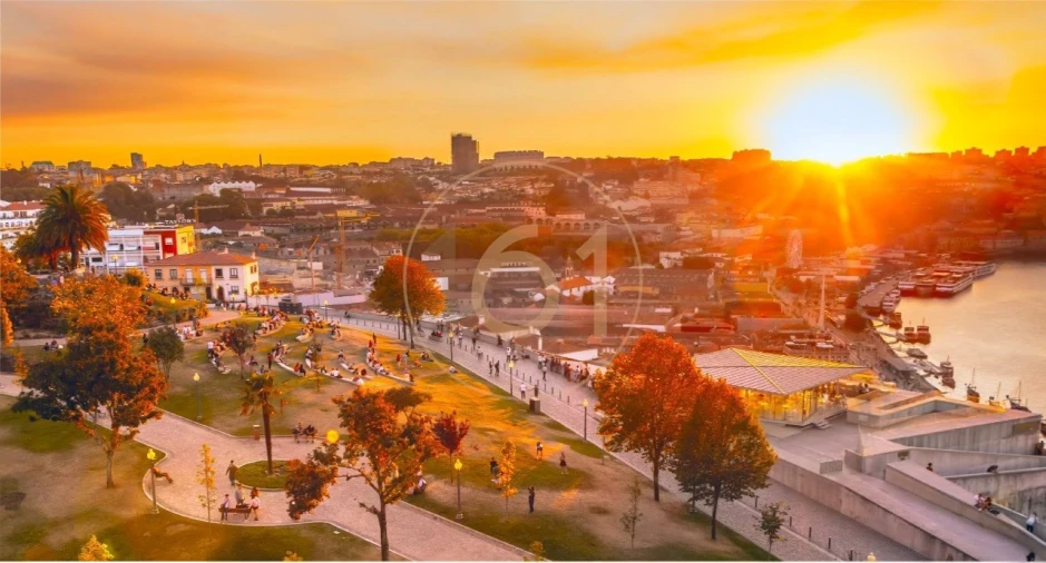 Terreno para Venda em Santa Marinha Foto 1