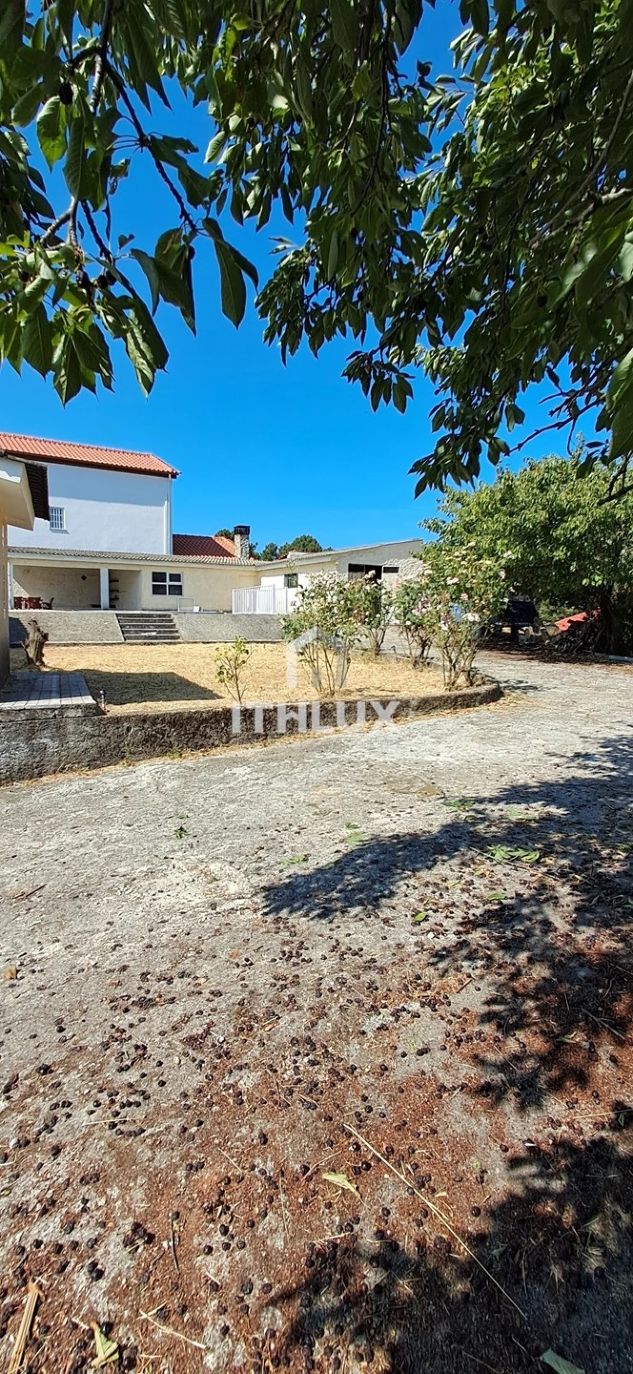 Moradia T6 para Venda em Vale Formoso e Aldeia do Souto Foto 20