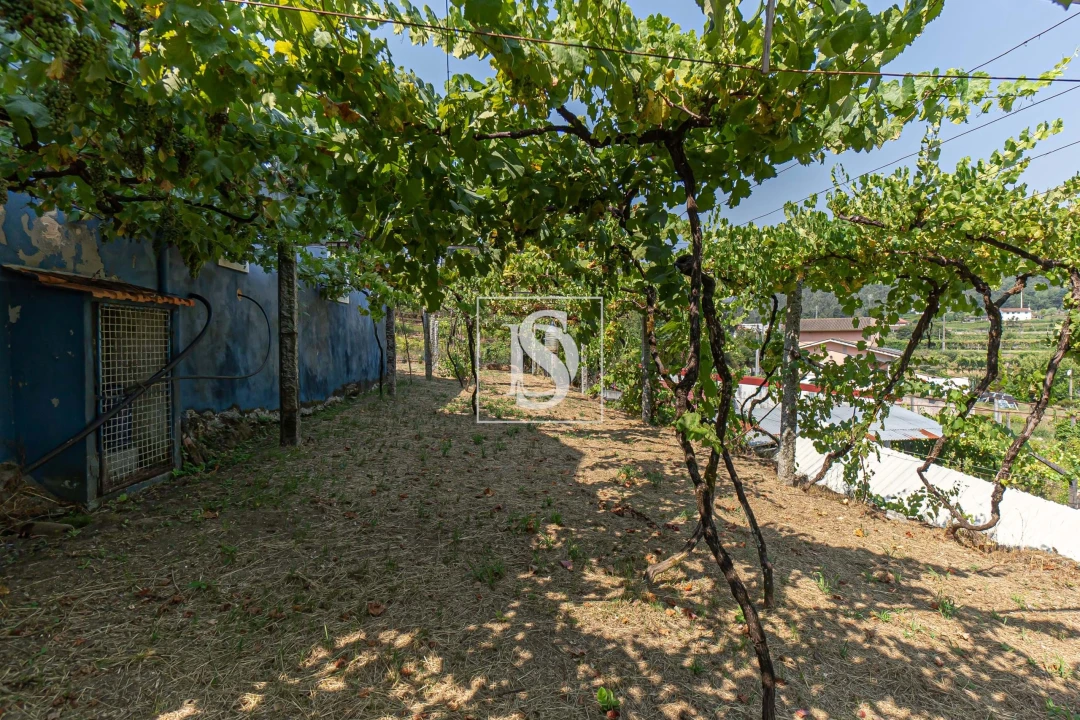 Moradia T1 para Venda em Ossela Foto 23