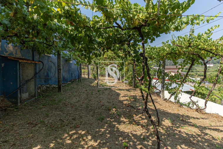 Moradia T1 para Venda em Ossela Foto 23