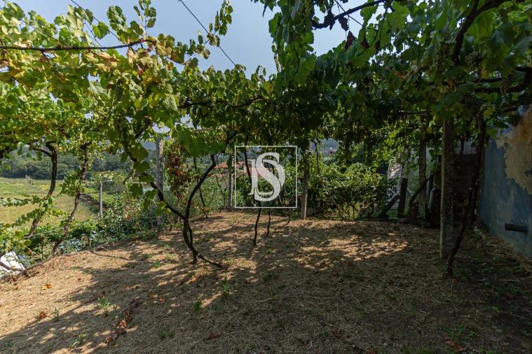 Moradia T1 para Venda em Ossela Foto 24