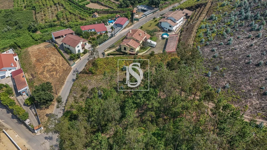 Terreno para Venda em Ossela Foto 7