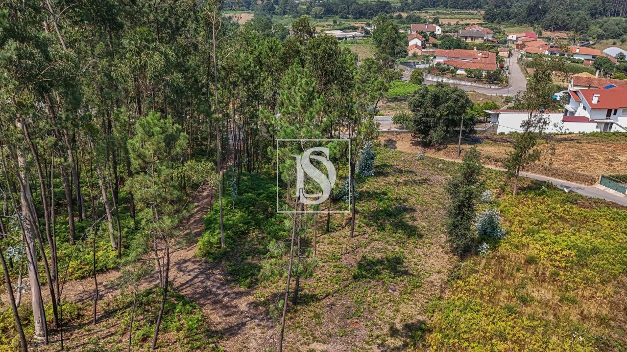 Terreno para Venda em Ossela Foto 10