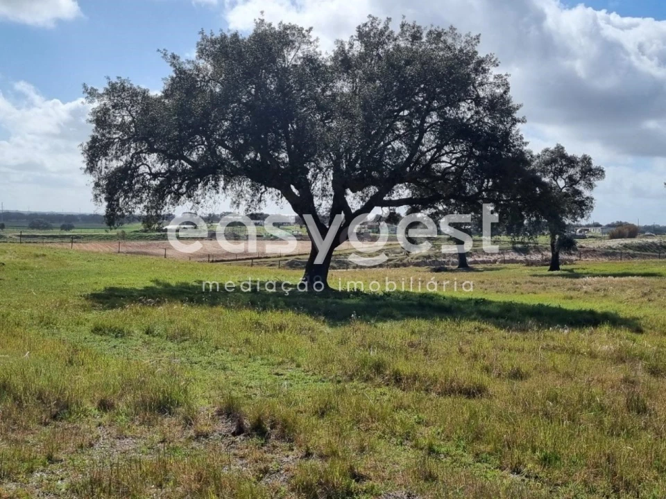 Quinta T2 para Venda em Figueira dos Cavaleiros Foto 4