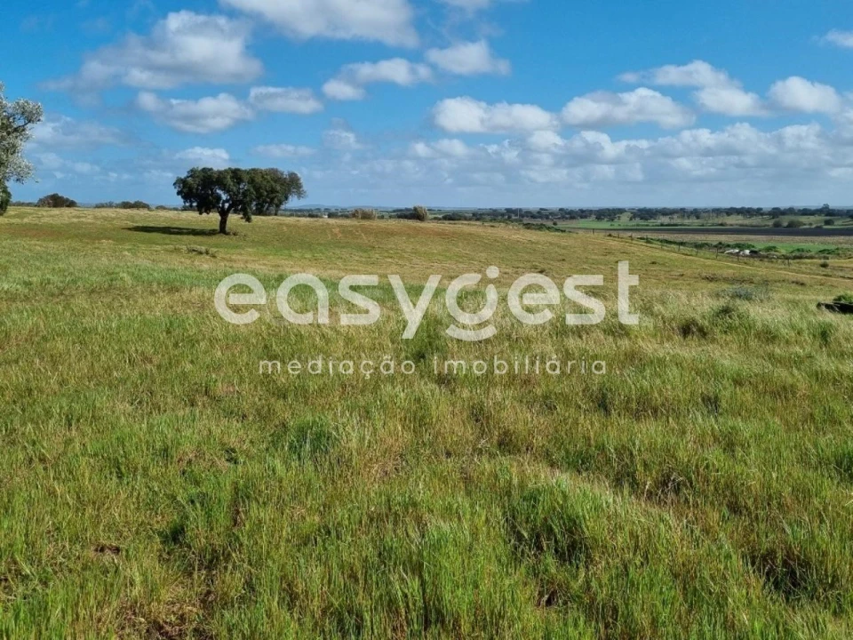 Quinta T2 para Venda em Figueira dos Cavaleiros Foto 7