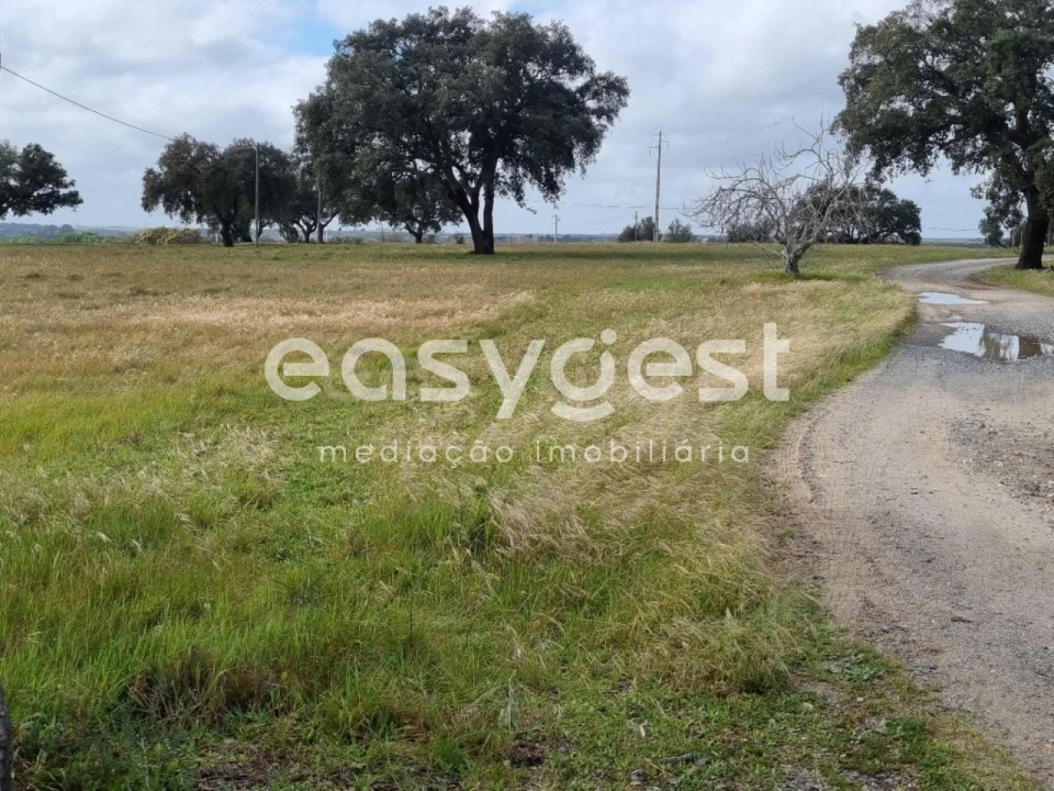Quinta T2 para Venda em Figueira dos Cavaleiros Foto 10