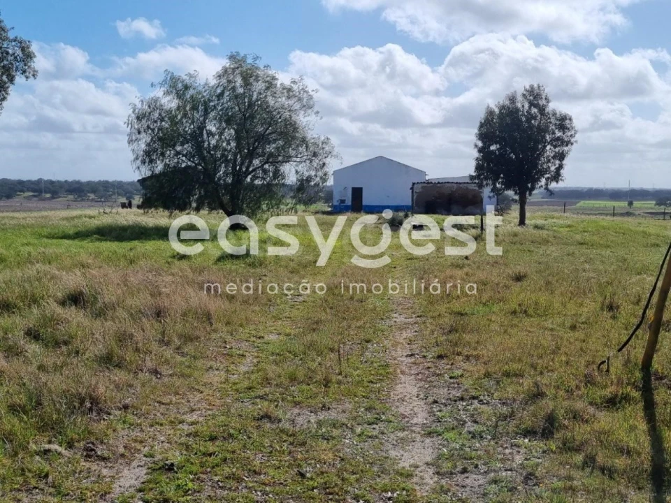 Quinta T2 para Venda em Figueira dos Cavaleiros Foto 12