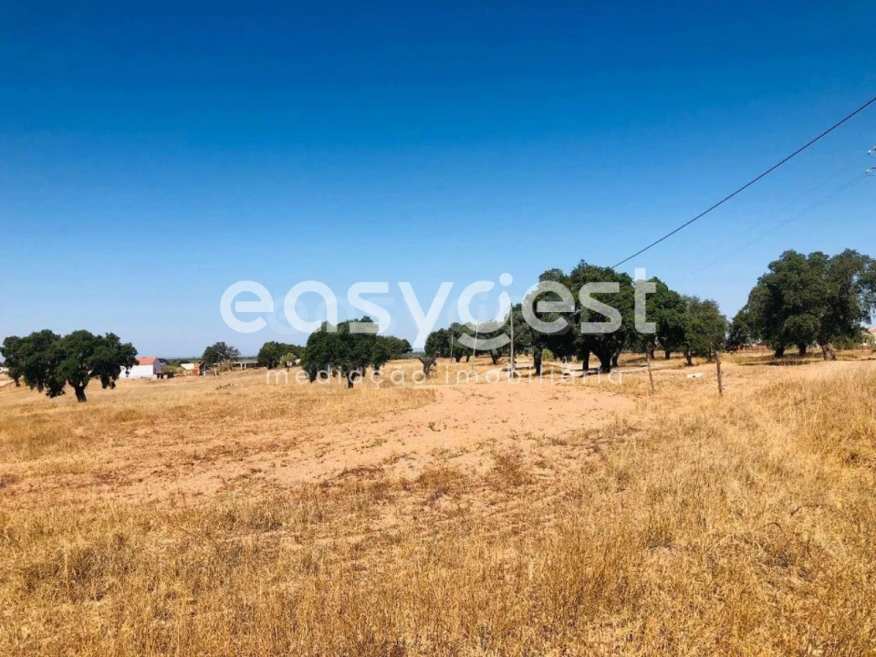 Quinta T2 para Venda em Figueira dos Cavaleiros Foto 15