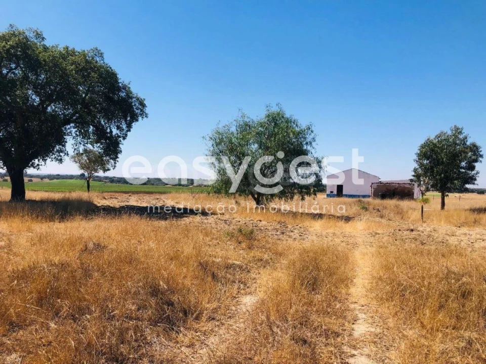 Quinta T2 para Venda em Figueira dos Cavaleiros Foto 17