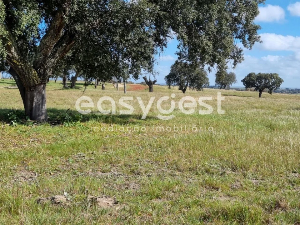 Quinta T2 para Venda em Figueira dos Cavaleiros Foto 24