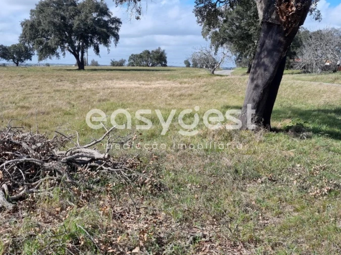 Quinta T2 para Venda em Figueira dos Cavaleiros Foto 2