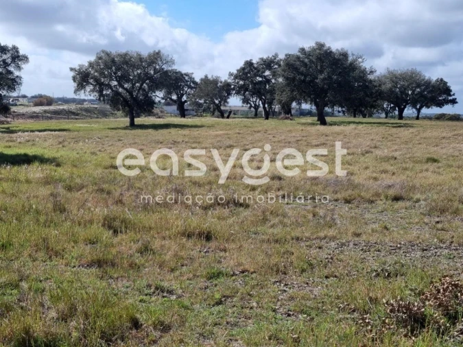Quinta T2 para Venda em Figueira dos Cavaleiros Foto 3