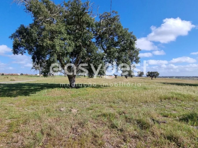 Quinta T2 para Venda em Figueira dos Cavaleiros Foto 5