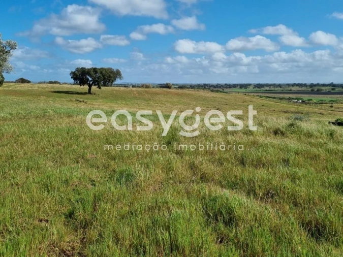 Quinta T2 para Venda em Figueira dos Cavaleiros Foto 6