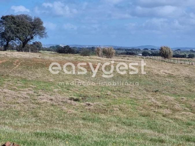 Quinta T2 para Venda em Figueira dos Cavaleiros Foto 8