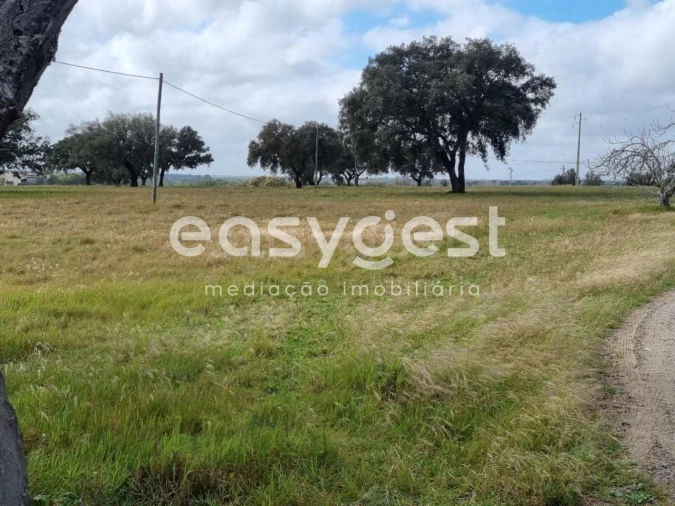 Quinta T2 para Venda em Figueira dos Cavaleiros Foto 11