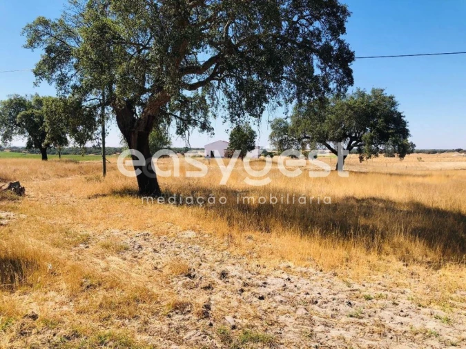 Quinta T2 para Venda em Figueira dos Cavaleiros Foto 13