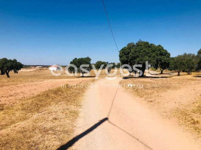Quinta T2 para Venda em Figueira dos Cavaleiros Foto 14