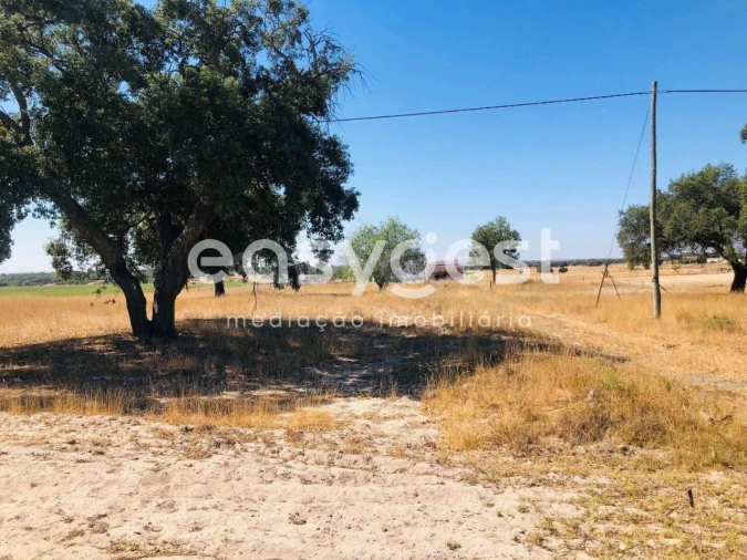 Quinta T2 para Venda em Figueira dos Cavaleiros Foto 16