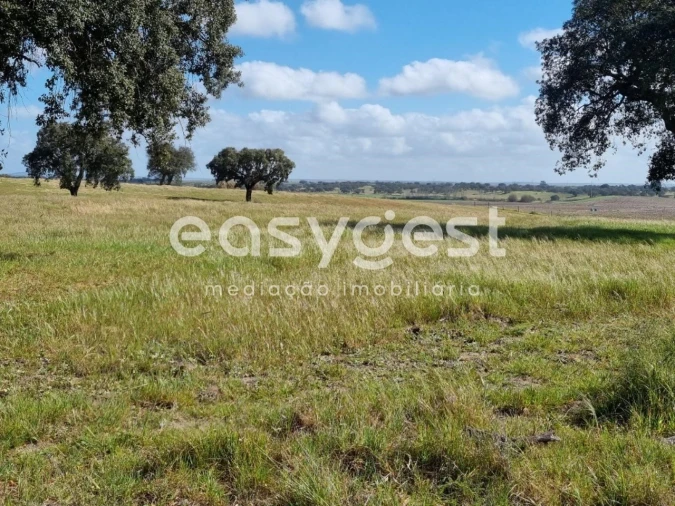 Quinta T2 para Venda em Figueira dos Cavaleiros Foto 23