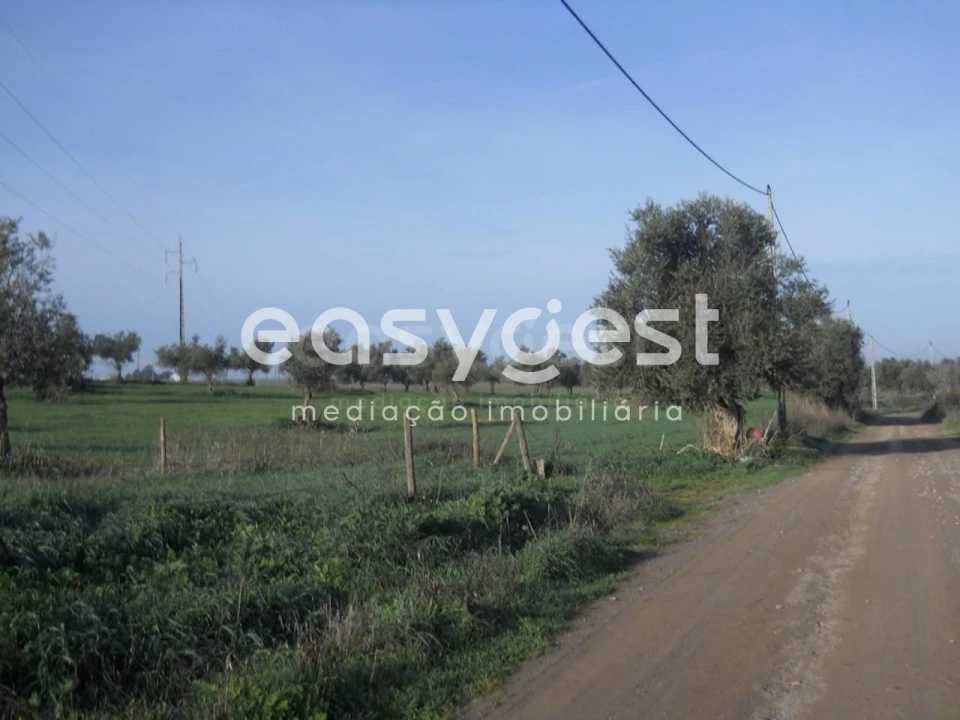 Terreno Agricola ou Rústico para Venda em Aljustrel e Rio de Moinhos Foto 2